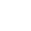 White logo of the YSI-ACT Youth in Action for Inclusion project.